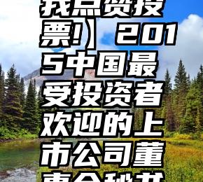 怎样微信刷投票   【请为我点赞投票!】2015中国最受投资者欢迎的上市公司董事会秘书微信投票正式开始啦!