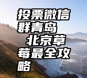 投票微信群青岛   北京草莓最全攻略