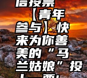 信投票   【青年参与】快来为你善美的“马兰姑娘”投上一票!