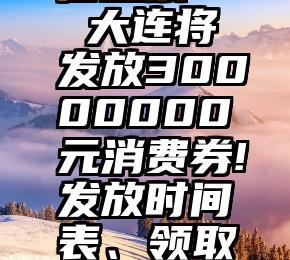 服务好又优惠的微信投票   大连将发放30000000元消费券!发放时间表、领取入口、商家报名入...