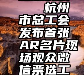 逆战帮 自动刷票   杭州市总工会发布首张AR名片现场观众微信票选工会活动合作团队
