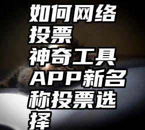 如何网络投票   神奇工具APP新名称投票选择