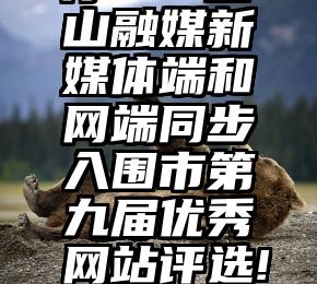 投票器程序   宝山融媒新媒体端和网端同步入围市第九届优秀网站评选!快来投票吧