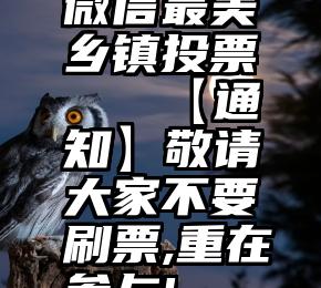 微信最美乡镇投票   【通知】敬请大家不要刷票,重在参与!