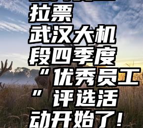 公司选举优秀员工拉票   武汉大机段四季度“优秀员工”评选活动开始了!人气王花落谁家