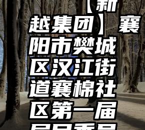 微信投票分数占比   【新越集团】襄阳市樊城区汉江街道襄棉社区第一届居民委员会选举大会