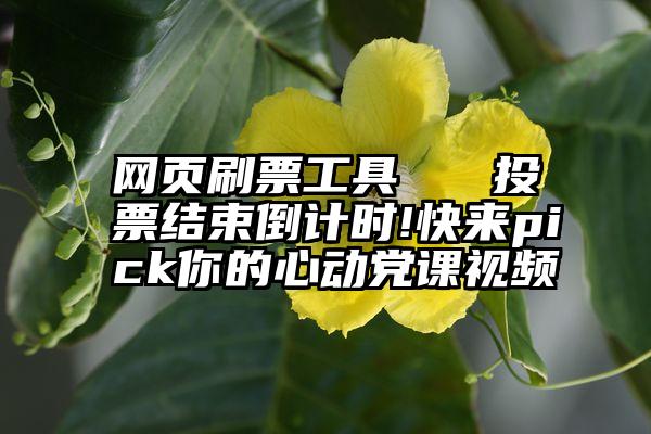 网页刷票工具   投票结束倒计时!快来pick你的心动党课视频