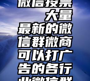 怎样使用微信投票   大量最新的微信群微商可以打广告的各行业微信群资源(秒进)