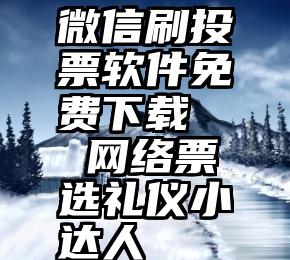 微信刷投票软件免费下载   网络票选礼仪小达人