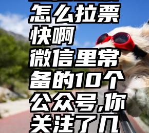 微信投票怎么拉票快啊   微信里常备的10个公众号,你关注了几个