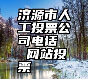 济源市人工投票公司电话   网站投票