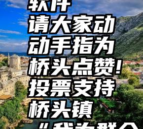 微信自动投票免费软件   请大家动动手指为桥头点赞!投票支持桥头镇“我为群众办实事”案例