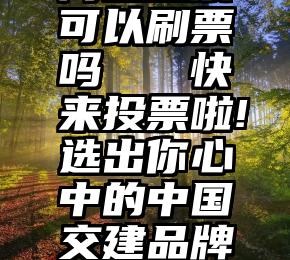 网上投票可以刷票吗   快来投票啦!选出你心中的中国交建品牌团队①