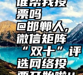 微信知道谁帮我投票吗   @邯郸人,微信矩阵“双十”评选网络投票开始啦!!!