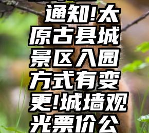 可视化结构设计究竟学甚么？选集该怎样预备？