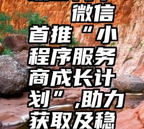 微信投票最多几个   微信首推“小程序服务商成长计划”,助力获取及稳定C端流量