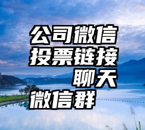 公司微信投票链接   聊天微信群