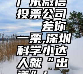 广东微信投票公司   差你一票,深圳科学小达人就“出道”!