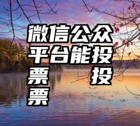 微信公众平台能投票   投票