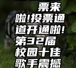 微信投票   票来啦!投票通道开通啦!第32届校园十佳歌手震撼来袭!