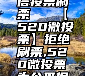 圆你梦微信投票刷票   【520微投票】拒绝刷票,520微投票为公平保驾护航