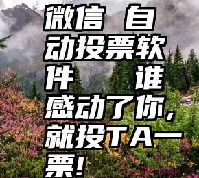 微信 自动投票软件   谁感动了你,就投TA一票!