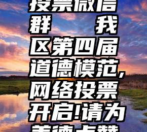 天猫专业投票微信群   我区第四届道德模范,网络投票开启!请为美德点赞投票!