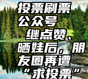 投票刷票公众号   继点赞、晒娃后，朋友圈再遭“求投票”