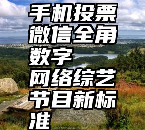 手机投票微信全角数字   网络综艺节目新标准