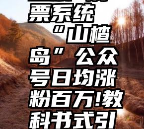 峄城微信投票 刷票系统   “山楂岛”公众号日均涨粉百万!教科书式引流案例如何复制