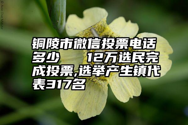 铜陵市微信投票电话多少   12万选民完成投票,选举产生镇代表317名