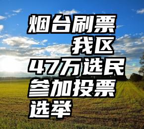 烟台刷票   我区47万选民参加投票选举