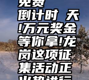 投票软件免费   倒计时⑧天!万元奖金等你拿!龙岗这项征集活动正火热进行中~