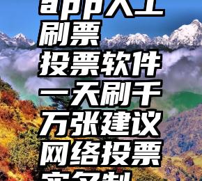 app人工刷票   投票软件一天刷千万张建议网络投票实名制