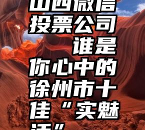 山西微信投票公司   谁是你心中的徐州市十佳“实魅活”