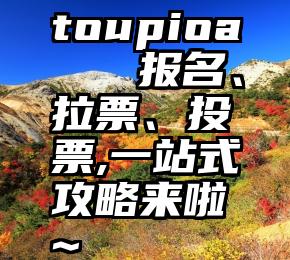 toupioa   报名、拉票、投票,一站式攻略来啦~