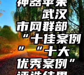 微信投票神器苹果   武汉市网群部“十佳案例”“十大优秀案例”评选结果出炉