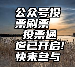 公众号投票刷票   投票通道已开启!快来参与