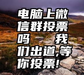 电脑上微信群投票吗   我们出道,等你投票!