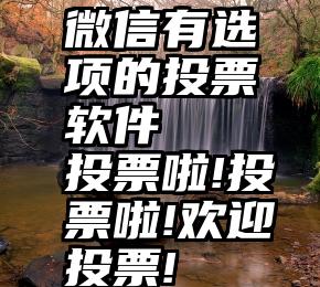 微信有选项的投票软件   投票啦!投票啦!欢迎投票!