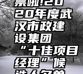 qq怎么微信投票链接   投票啦!2020年度武汉市政建设集团“十佳项目经理”候选人名单出炉,谁将乘风破浪脱颖而出