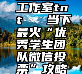 微信投票工作室tnt   当下最火“优秀学生团队微信投票”攻略大曝光