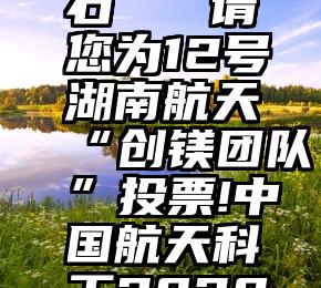 人工微信刷票 砚石   请您为12号湖南航天“创镁团队”投票!中国航天科工2020年度感动...