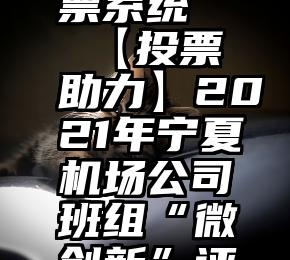 山亭微信投票 刷票系统   【投票助力】2021年宁夏机场公司班组“微创新”评比大赛邀您投票