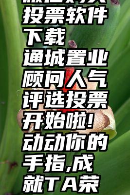 微信购买投票软件下载   通城置业顾问人气评选投票开始啦!动动你的手指,成就TA荣耀!