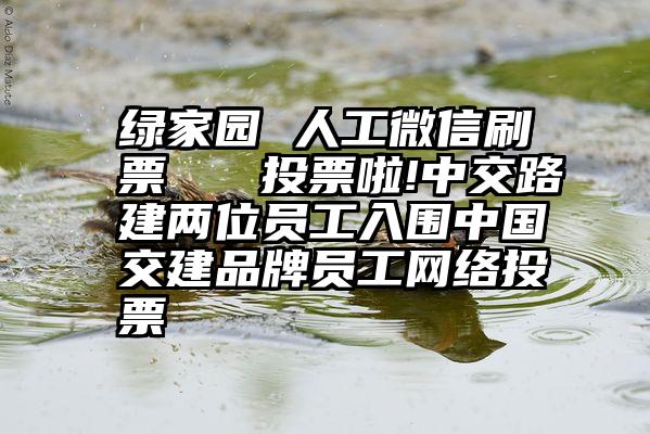 绿家园 人工微信刷票   投票啦!中交路建两位员工入围中国交建品牌员工网络投票