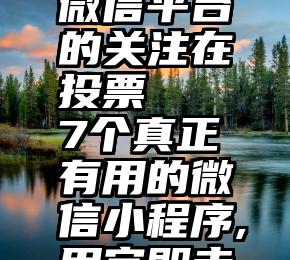 微信平台的关注在投票   7个真正有用的微信小程序,用完即走