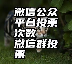 微信公众平台投票次数   微信群投票