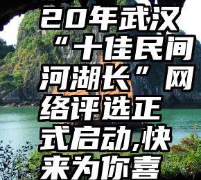 微信订阅号音频投票   2020年武汉“十佳民间河湖长”网络评选正式启动,快来为你喜欢的民间河湖长投票打call!