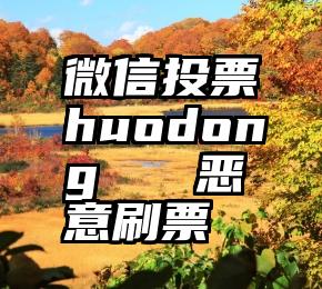 微信投票huodong   恶意刷票